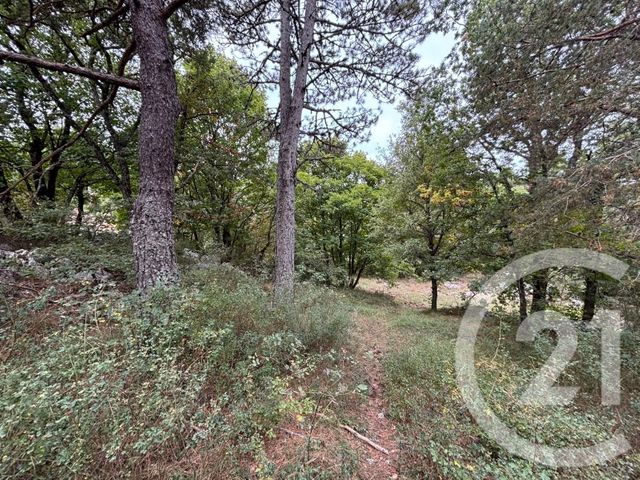 terrain à vendre - 3470.0 m2 - CAUSSOLS - 06 - PROVENCE-ALPES-COTE-D-AZUR - Century 21 Côté Ouest
