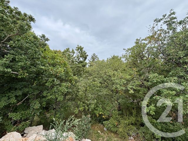 terrain à vendre - 3470.0 m2 - CAUSSOLS - 06 - PROVENCE-ALPES-COTE-D-AZUR - Century 21 Côté Ouest