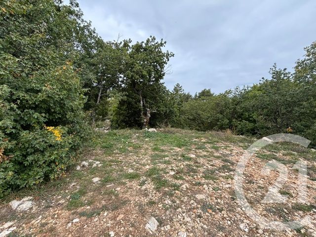 terrain à vendre - 3470.0 m2 - CAUSSOLS - 06 - PROVENCE-ALPES-COTE-D-AZUR - Century 21 Côté Ouest