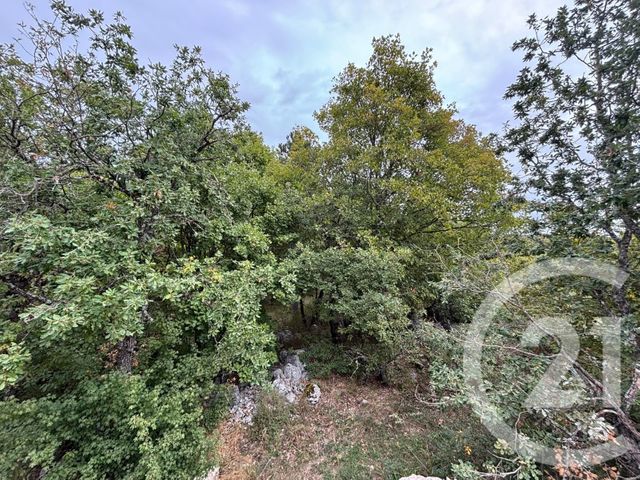 terrain à vendre - 3470.0 m2 - CAUSSOLS - 06 - PROVENCE-ALPES-COTE-D-AZUR - Century 21 Côté Ouest