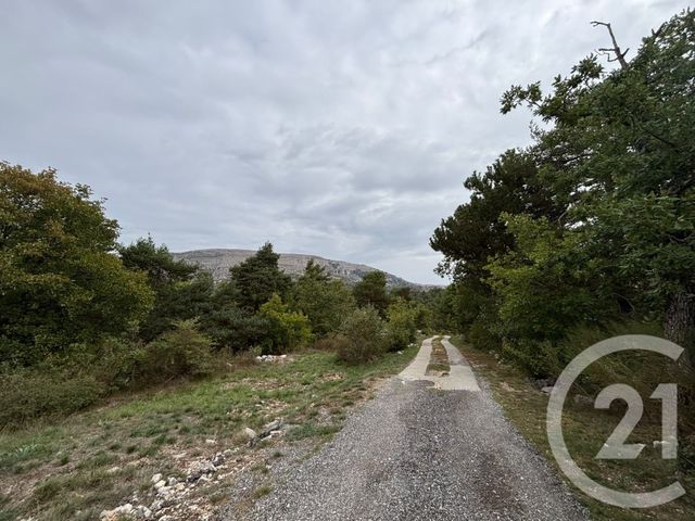 terrain à vendre - 3470.0 m2 - CAUSSOLS - 06 - PROVENCE-ALPES-COTE-D-AZUR - Century 21 Côté Ouest